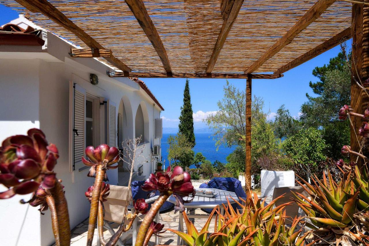 New! Paxoswhite Sea View Apartments & Studios! Gaios Exterior photo